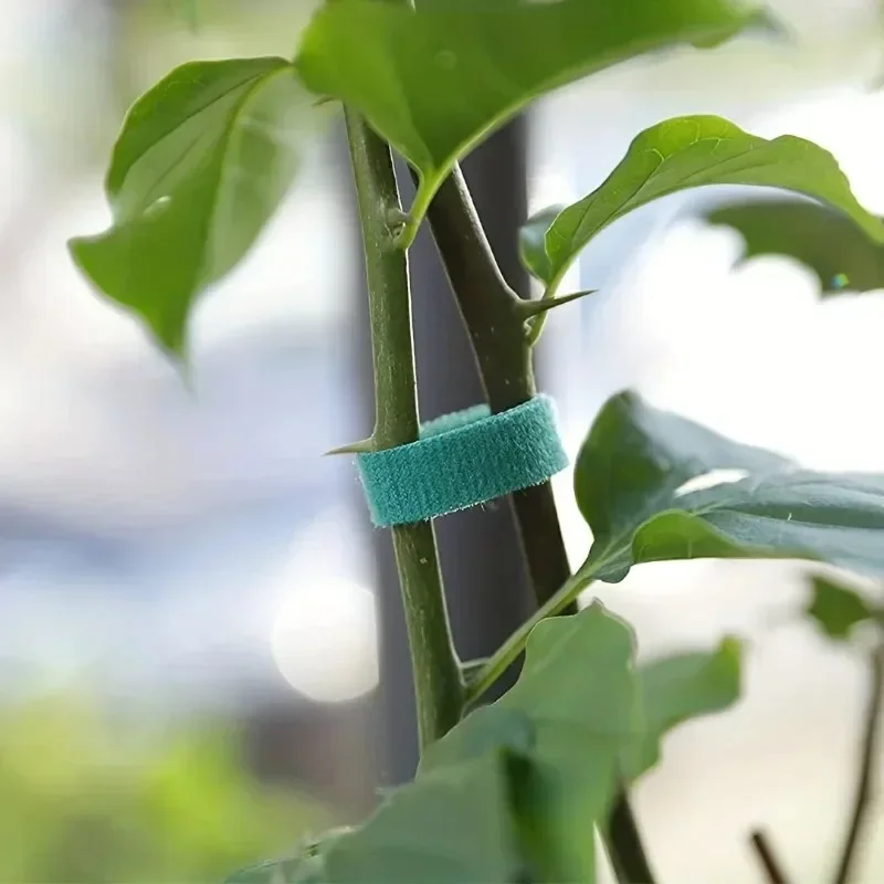 Garden Tape Nylon Cable Tie fo - Florist Supp ulasan dan harga
