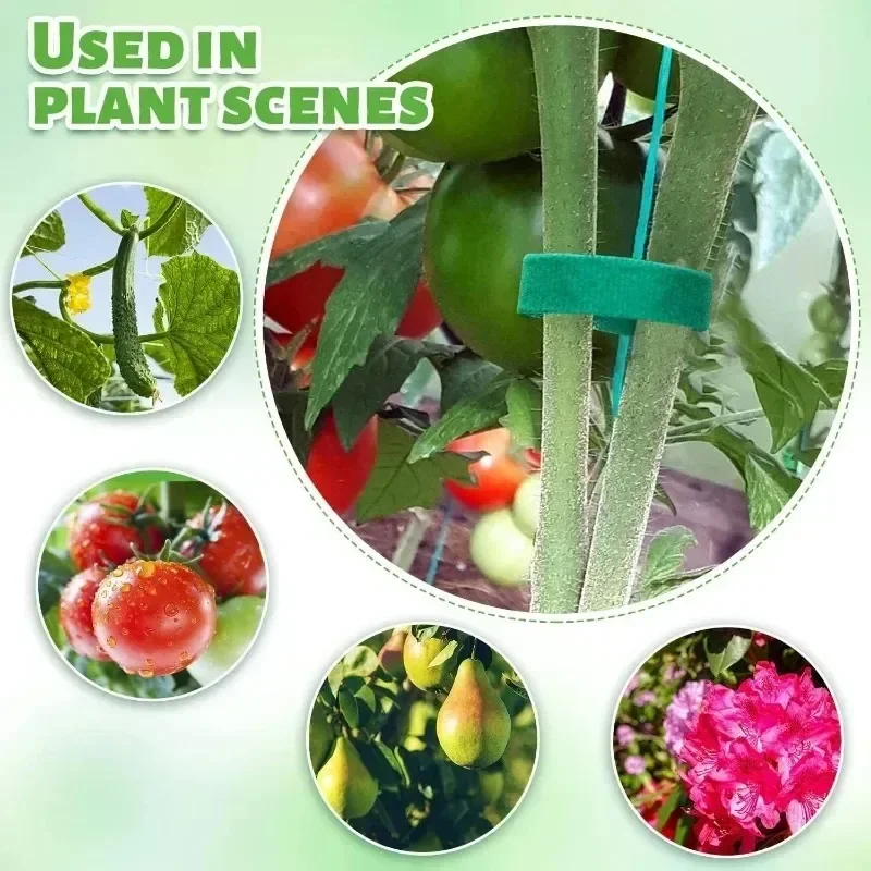 Garden Tape Nylon Cable Tie fo - Florist Supp ulasan dan harga