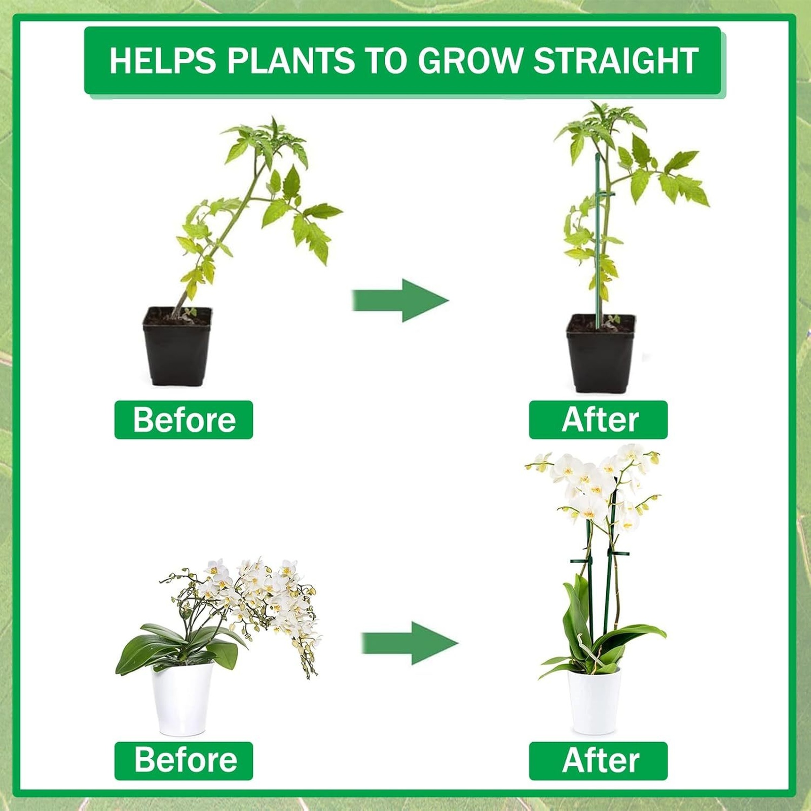 Plant Supports Rod Single Stem - Florist Supp ulasan dan harga