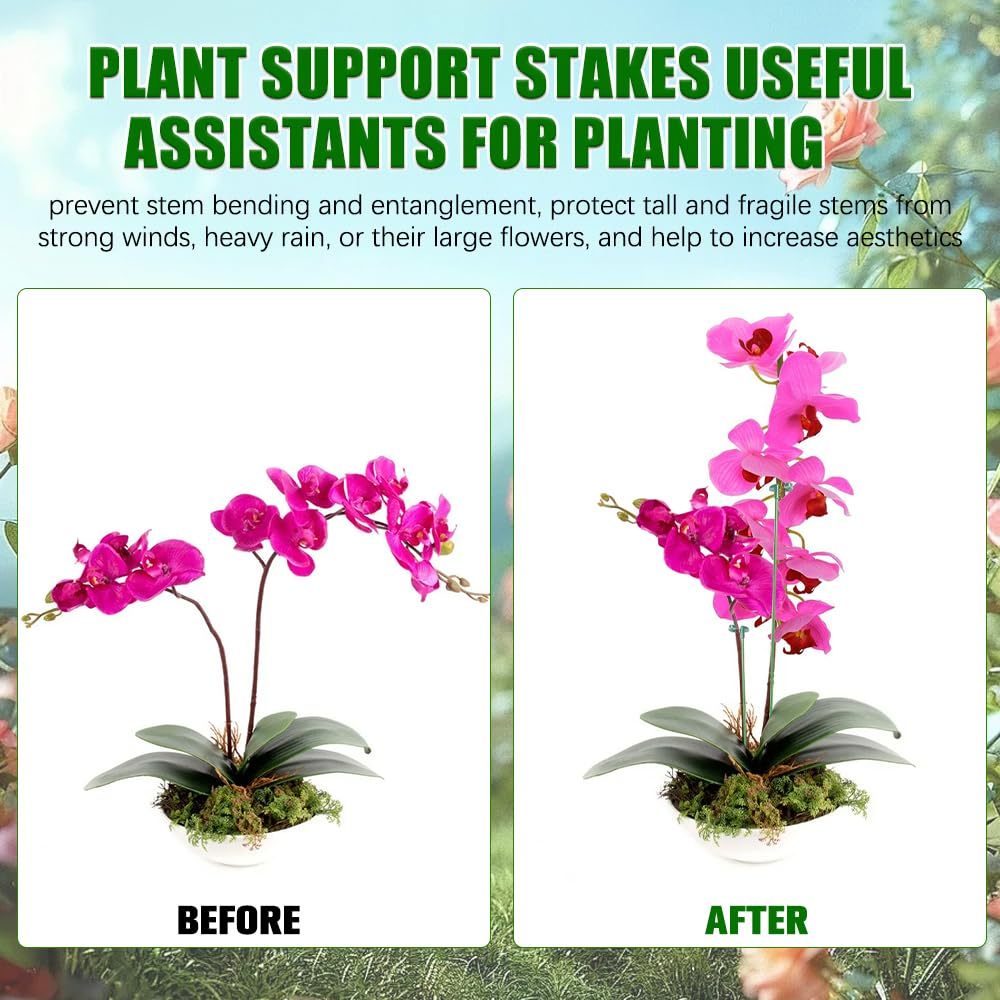 5/10PCS Plant Supports Stand B - Florist Supp ulasan dan harga