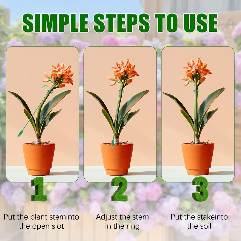 5/10PCS Plant Supports Stand B - Florist Supp ulasan dan harga
