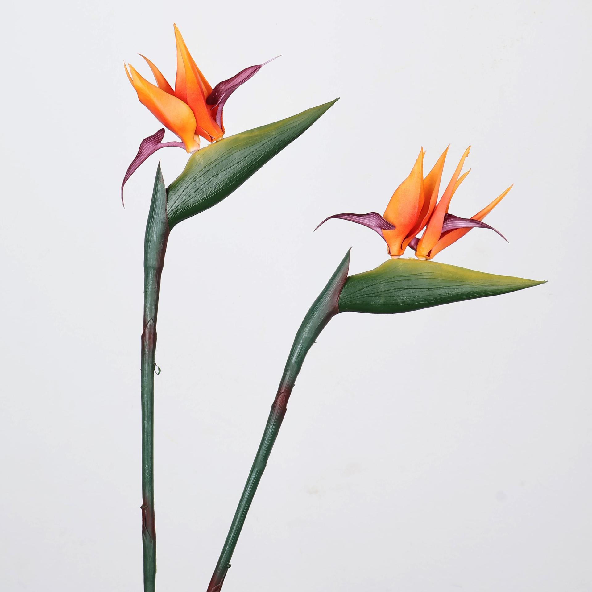 33 Inch Artificial Bird Of Par - Florist Supp ulasan dan harga