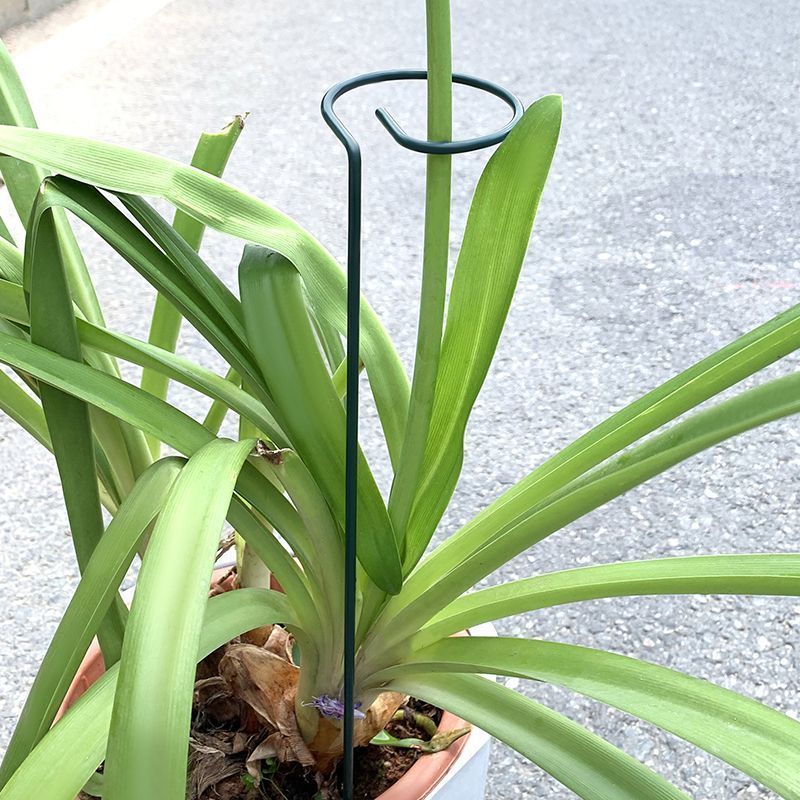 1-10pcs Metal Single Stem Plan - Florist Supp ulasan dan harga