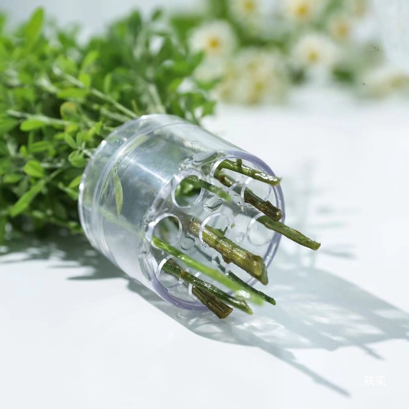 Spiral Stem Holder Sturdy Clea - Florist Supp ulasan dan harga